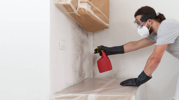Professional Crawl Space Mold Remediation technician working in Linden, TN