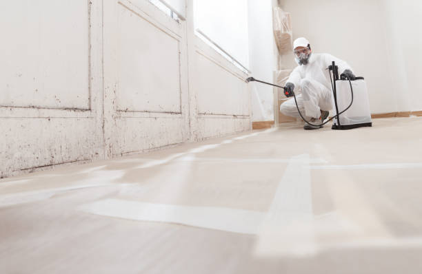 24/7 Emergency Crawl Space Mold Remediation experts in Linden, TN