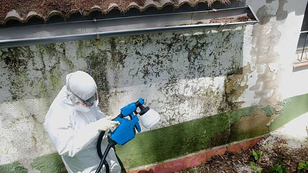Top rated local Crawl Space Mold Remediation specialists in Linden, TN